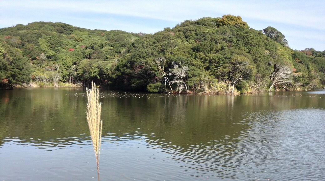 Hamajimacho Hamajima, Shima, Mie Prefecture 517-0404, Japan