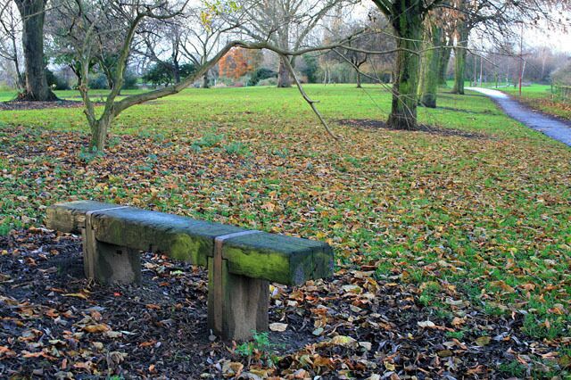 Bench in Alvaston Park