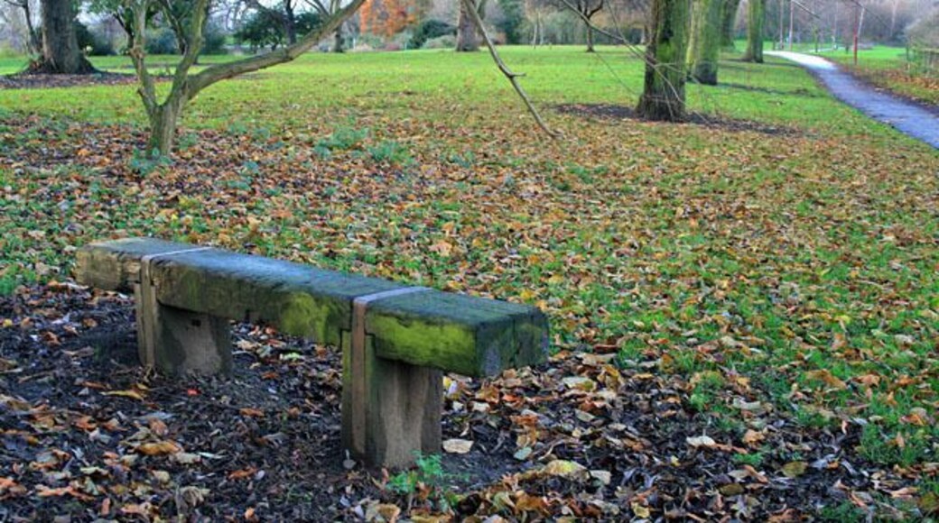Bench in Alvaston Park