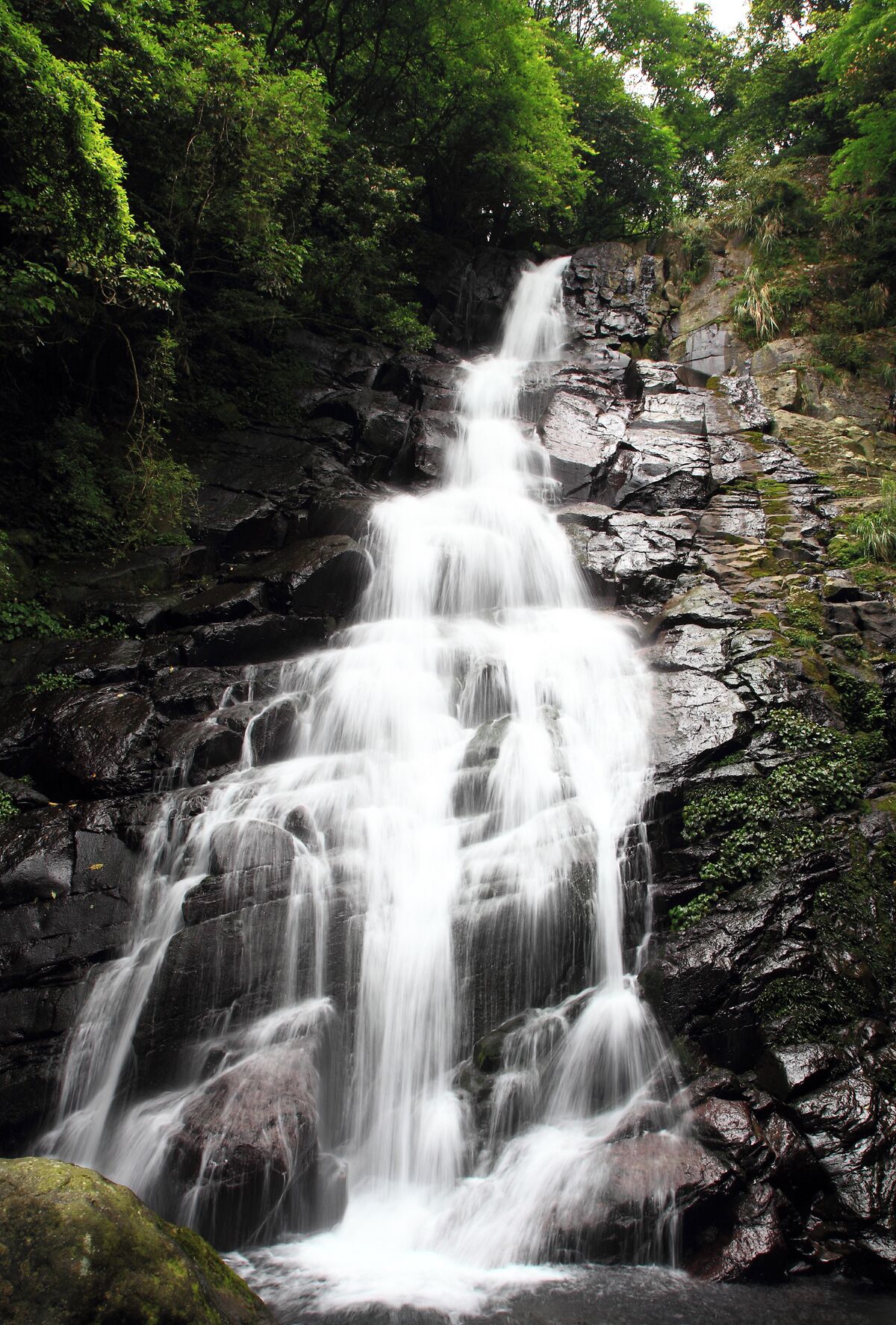 A multi-tiered waterfall surrounded by dense green foliage.