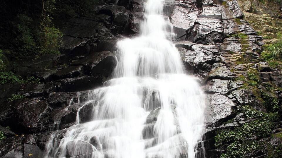 A multi-tiered waterfall surrounded by dense green foliage.