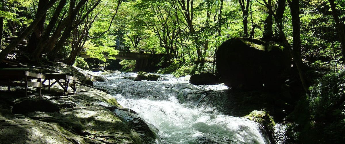 小太郎ヶ渕(栃木県那須塩原市)
