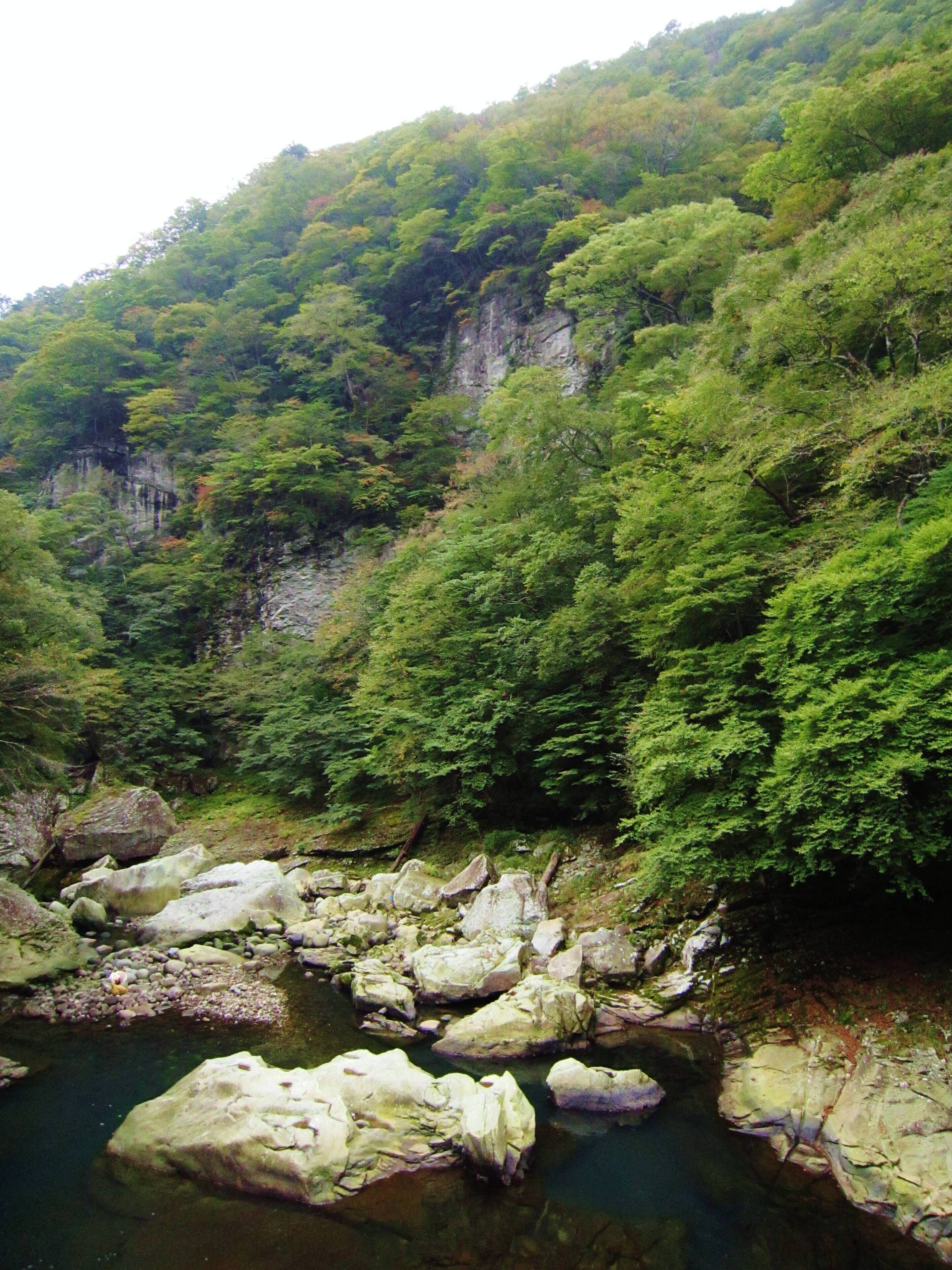 Hōkigawa Dam gorge.