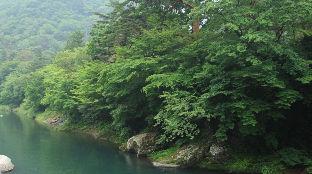 Shiobara, Nasushiobara, Tochigi Prefecture 329-2921, Japan