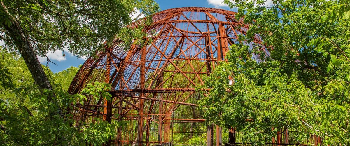Old West Austin showing a garden