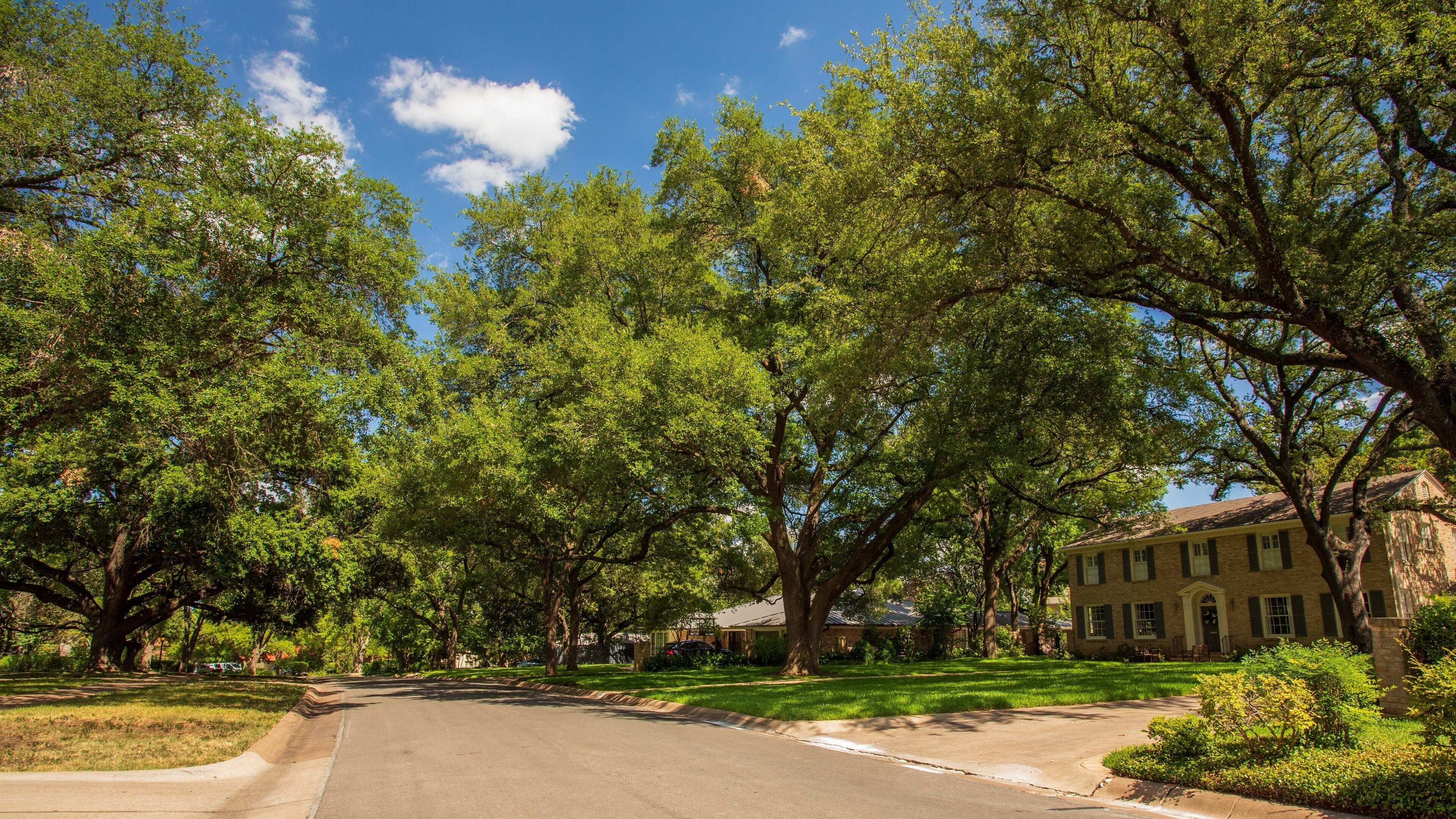 Old West Austin showing a small town or village and a house
