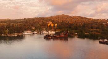 A beautiful sunrise and view of a shipwreck overlooking Mahogany Bay, Honduras #honduras #roatan #mahoganybay #shipwreck #island #ocean #sunrise #tropicalforest #Caribbean #Adventure