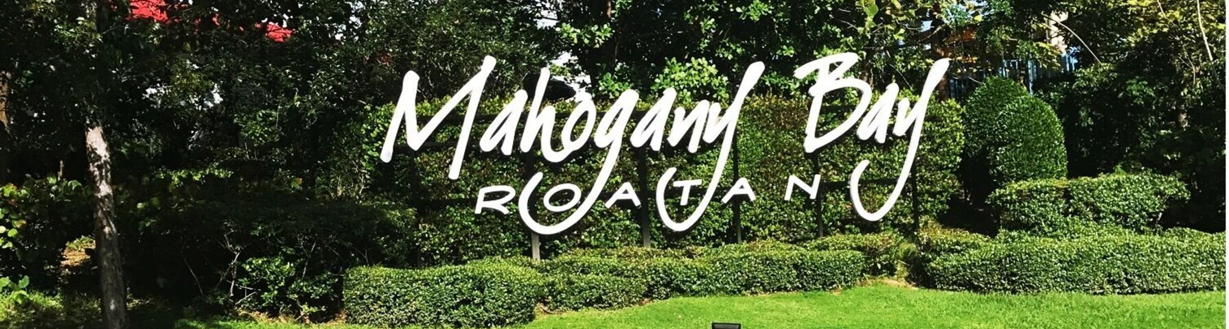 #mahogonybay