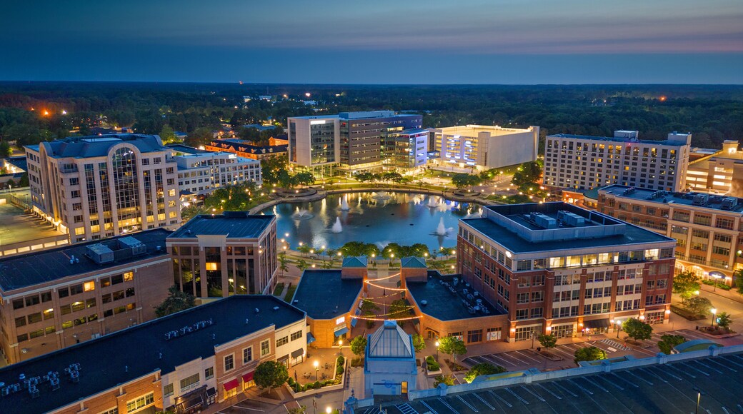 ออยส์เตอร์พอยท์