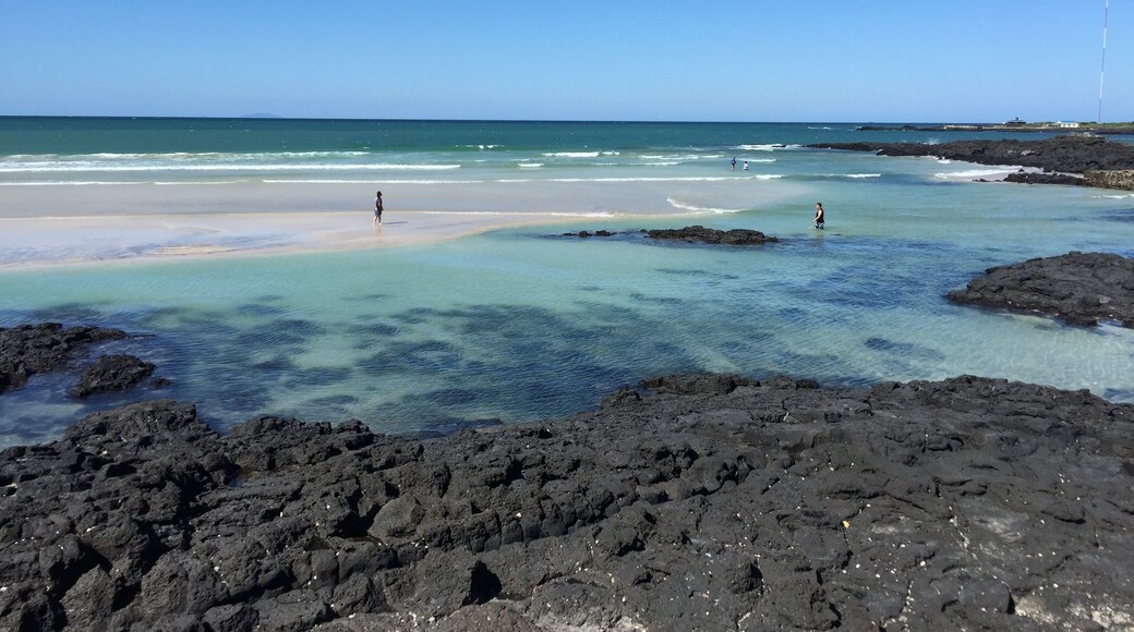 세화해수욕장 세화해변