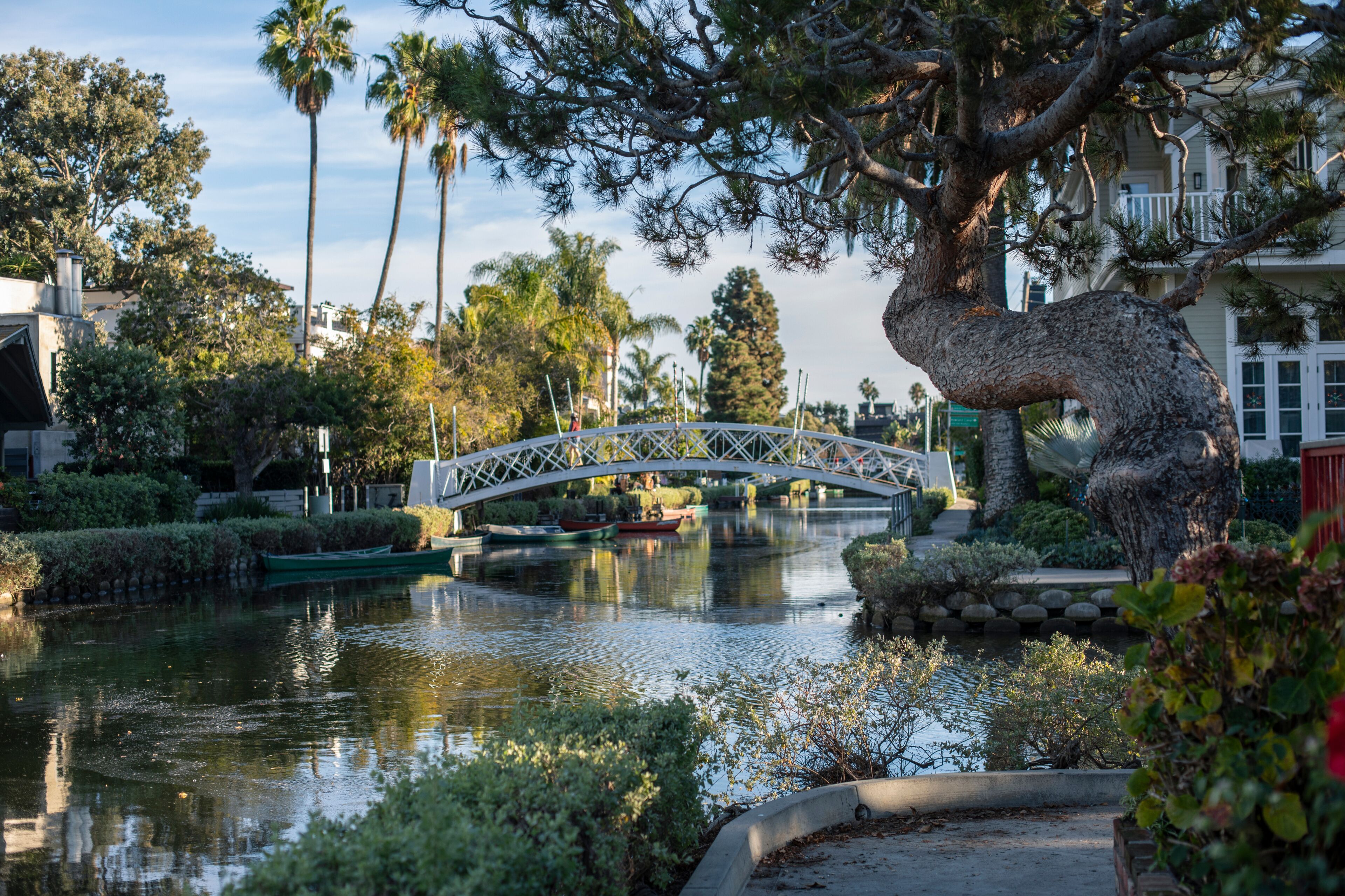 Une rivière traversée par un pont, bordée de palmiers, et un bâtiment doté d’un balcon.