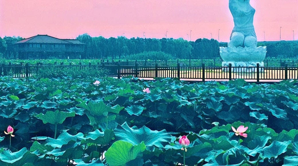 The Nymph of the Lotus pond in Suzhou, China.