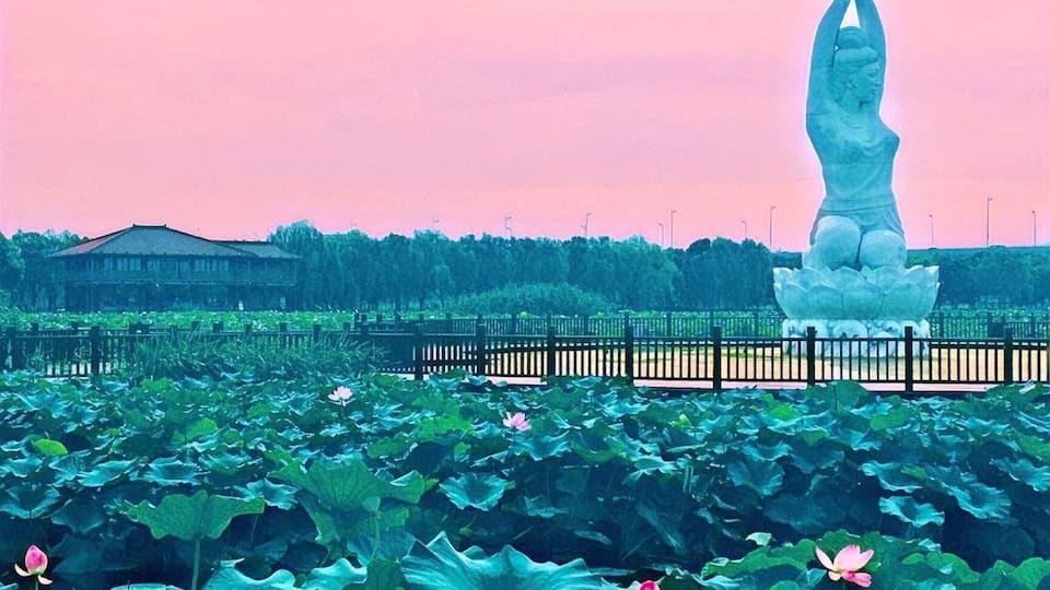 The Nymph of the Lotus pond in Suzhou, China.
