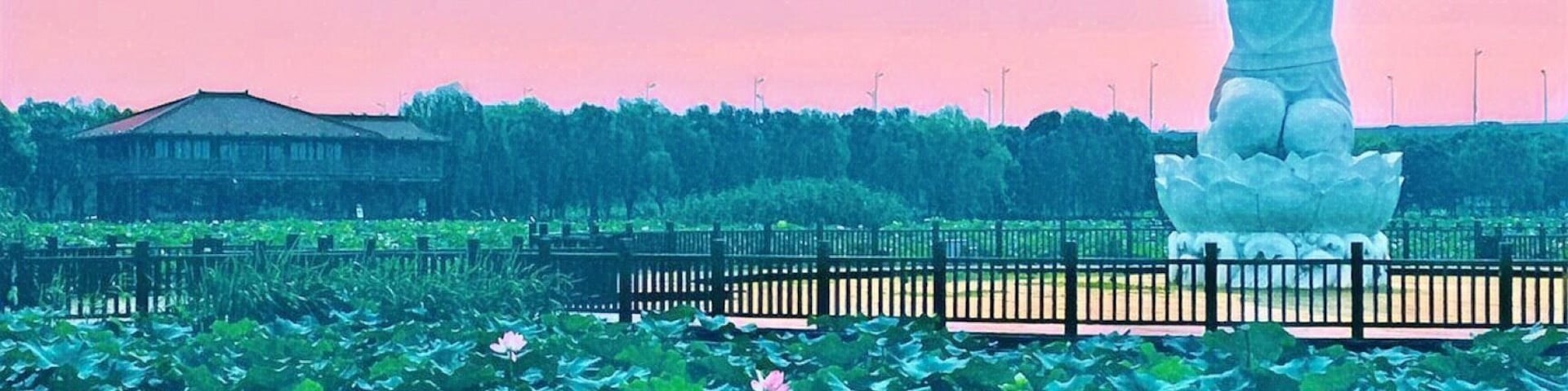 The Nymph of the Lotus pond in Suzhou, China.