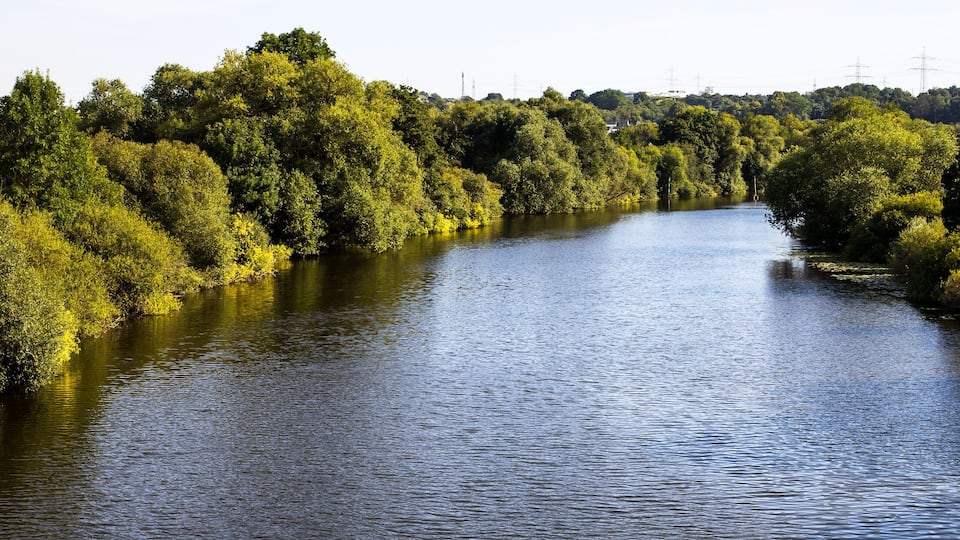 A river flanked by dense green trees and power lines in the background.