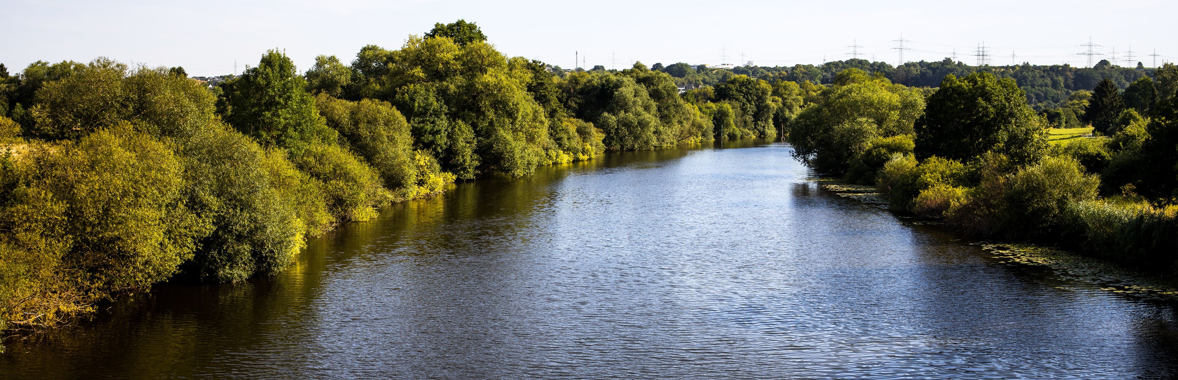 A river flanked by dense green trees and power lines in the background.