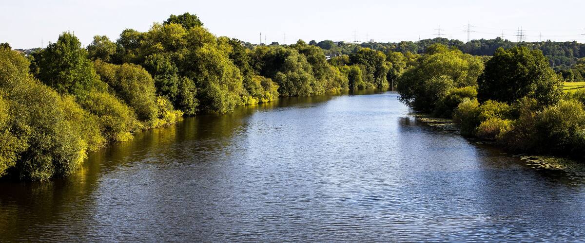 A river flanked by dense green trees and power lines in the background.