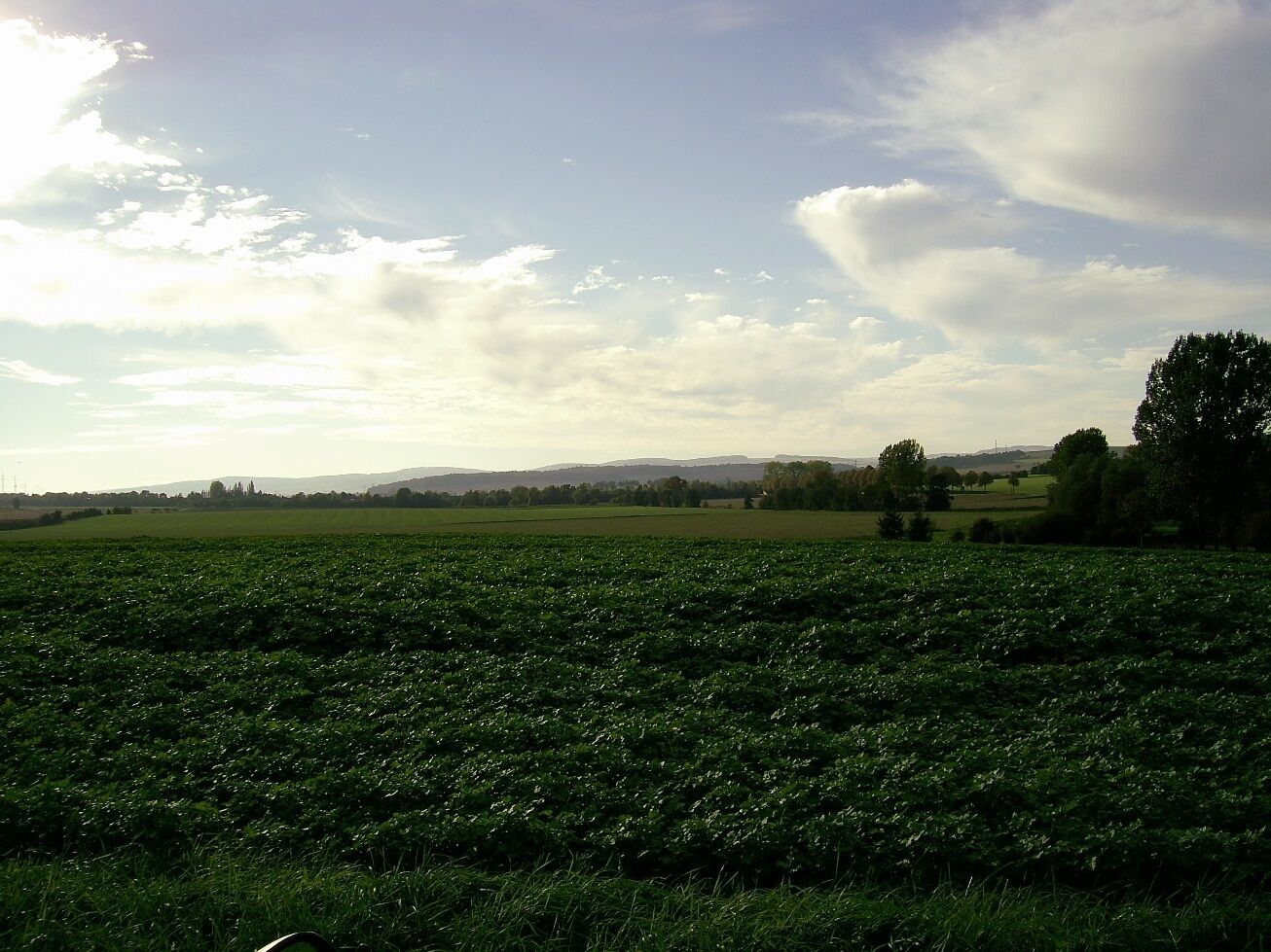 Blick vom nordlichen Rand des Neubaugebiets richtung Moringen