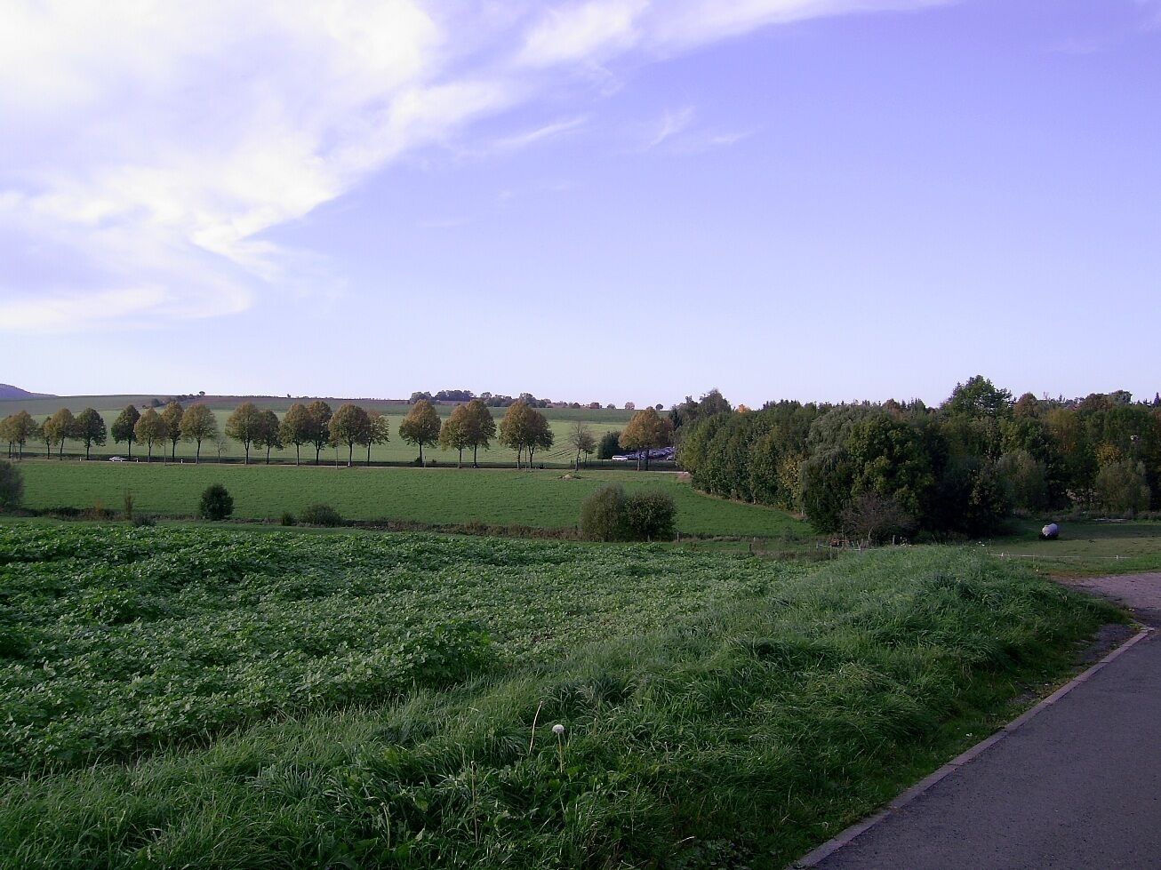 A rural landscape with a field, trees, and a road.