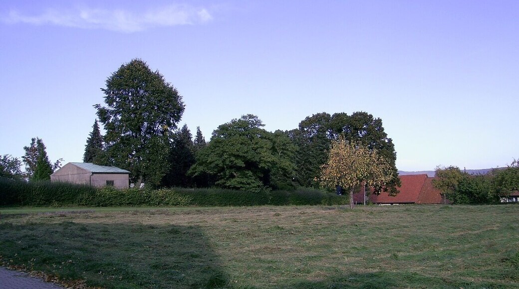 Blick am Höckelheimer Friedhof vorbei
