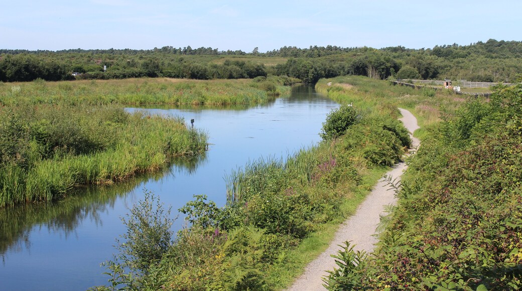 Eelmoor Flash on the Basingstoke Canal taken from the Eelmoor Bridge (adjacent to Farnborough Airport . The flash was formed when water was allowed to fill a natural indentation by building a dike only on the towpath side of the canal.