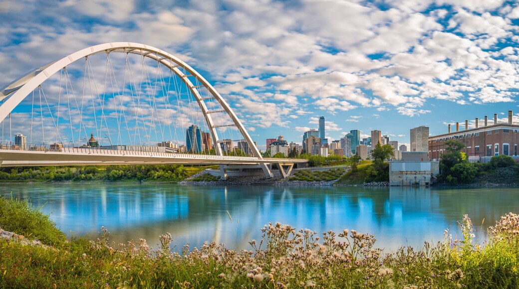 ์๋ฌ์ฌ๋ฆฌ