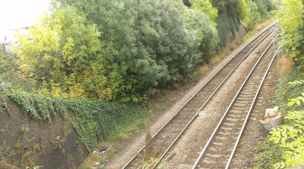 This is Tyseley South Junction in Tyseley, near the Warwick Road. The junction was re-signalled and had new tracks installed by 2008. This is the line I usually go on - the Shakespeare line. Taken from Warwick Road in Tyseley. Towards Spring Road Station.