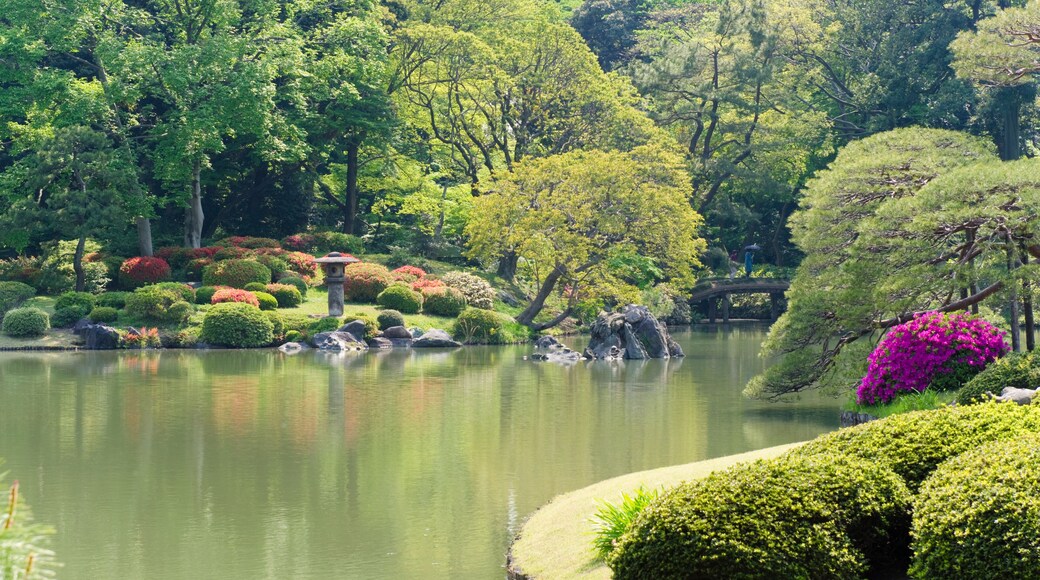 Japanischer Garten, (Tokio, Rikugi-en Garden)