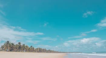 Beautiful Landscape of Praia do Paiva - Pernambuco - Northeast Brazil