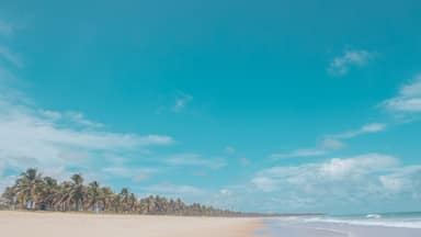 Beautiful Landscape of Praia do Paiva - Pernambuco - Northeast Brazil