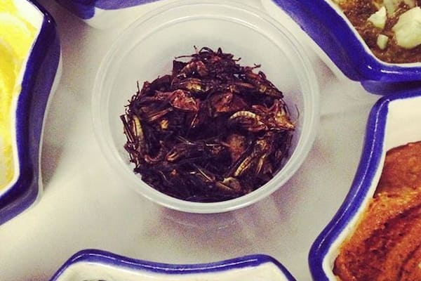 Try the pumpkin dip, guacamole, oh and the crickets! #xoximilcocancun #xoximilco #travelstoke