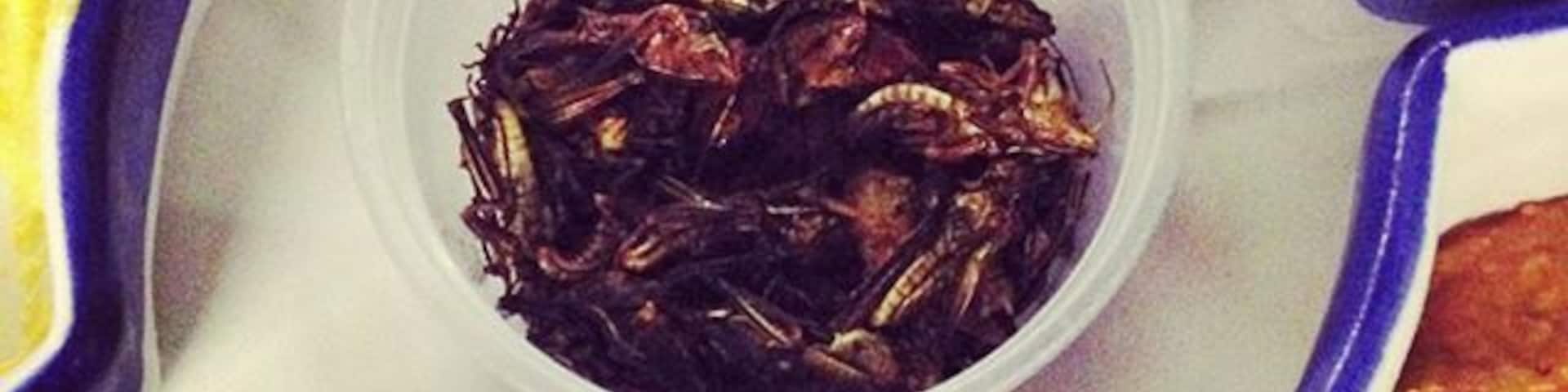 Try the pumpkin dip, guacamole, oh and the crickets! #xoximilcocancun #xoximilco #travelstoke