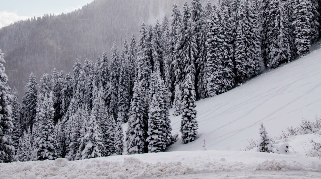 Snow-covered mountains