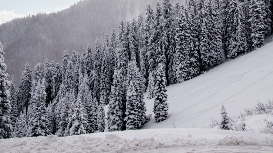 Station de ski de White Pine