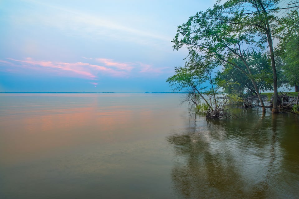 A calm body of water with a tree on the right and a distant shoreline.