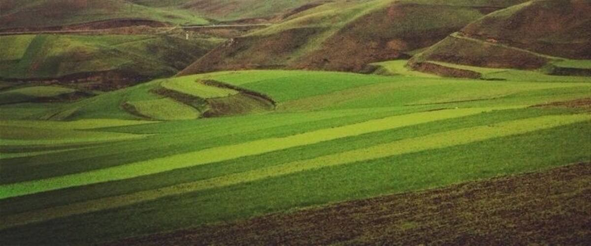 Rolling green hills and a cloudy sky.