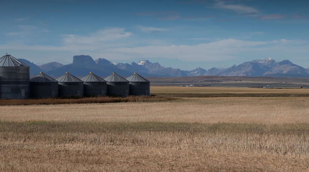 A grain silo field with mountains in the background.