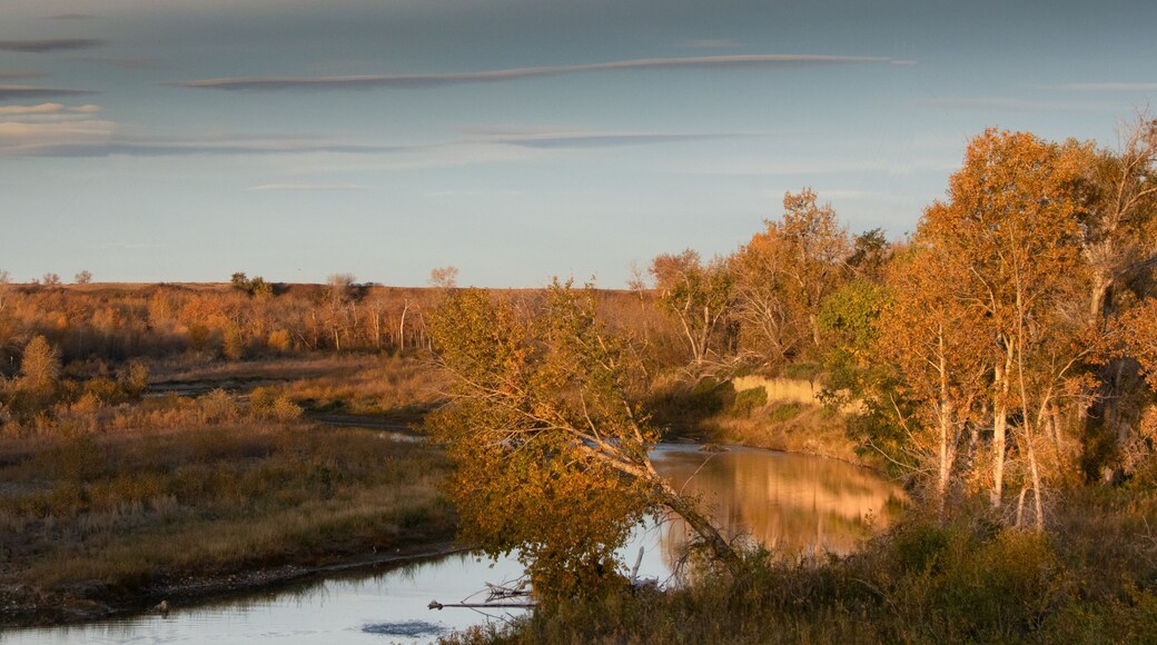 Comté de Cardston