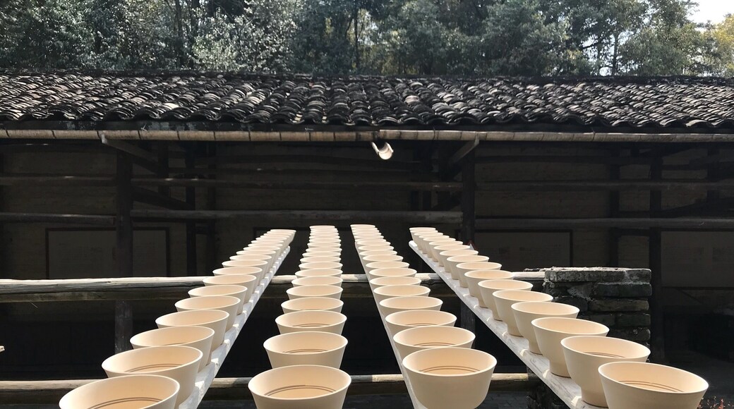 Jingdezhen - the city that gave rise to the name ‘China’. The thousand year old city has traces of pottery at each part of town - from the street lights, pillars down to the dumpster.