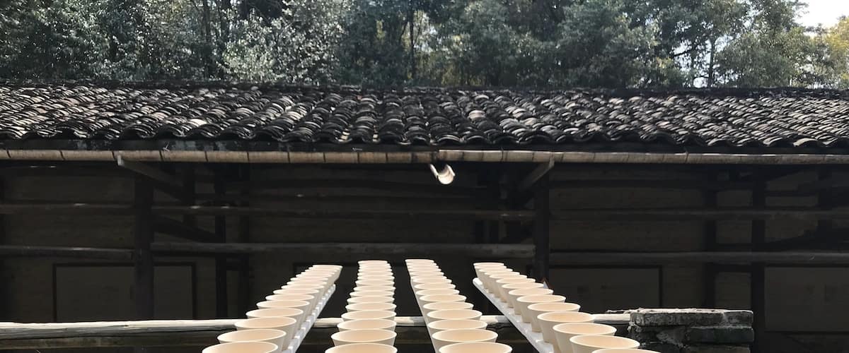 A row of white ceramic bowls on a wooden platform under a tiled roof.