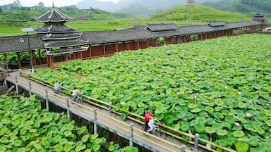 Um edifício tradicional chinês com pagode, rodeado por um lago de lótus.