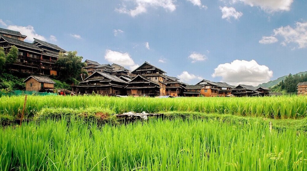 Eight Villages of Chengyang in the #Sanjiang Dong Autonomous County of China.#çšéłć
«ćŻš
https://twitter.com/Beautifulgx