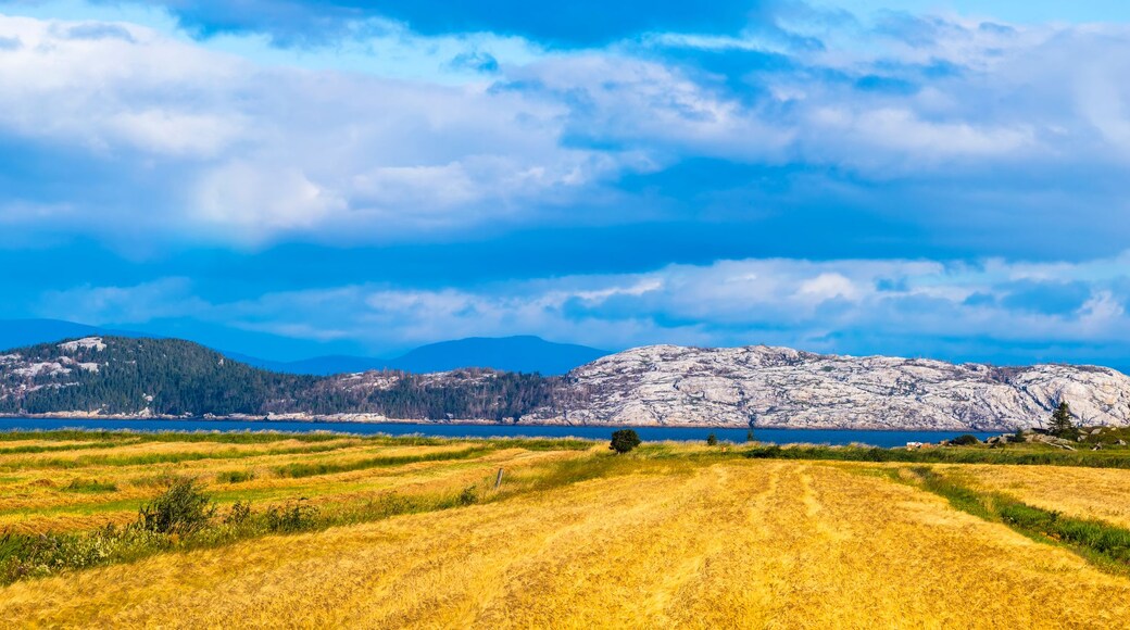 Un paisaje con una gran formación rocosa, un lago y campos.