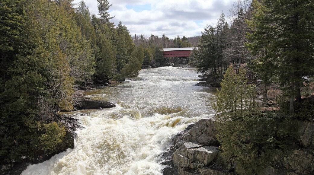Municipio regional de condado de Lotbinière
