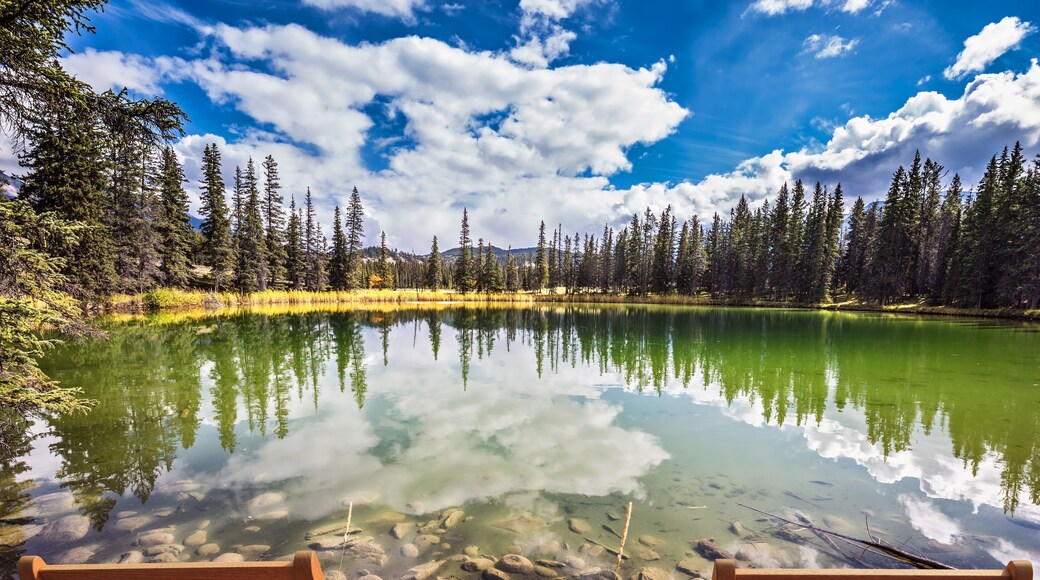 ๋ณด๋ํ์ด-์ฌ๋ ์ฅฌ ์ง์ญ ์นด์ดํฐ ์ง์์ฒด