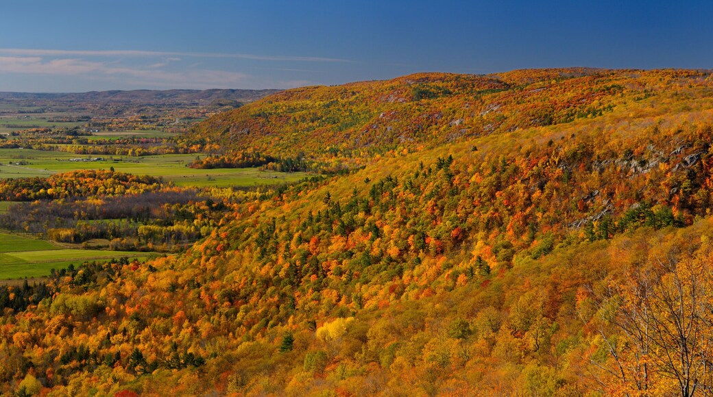 The Eardley Escarpment and Ottawa River valley lowland at Champlain Lookout Gatineau Park