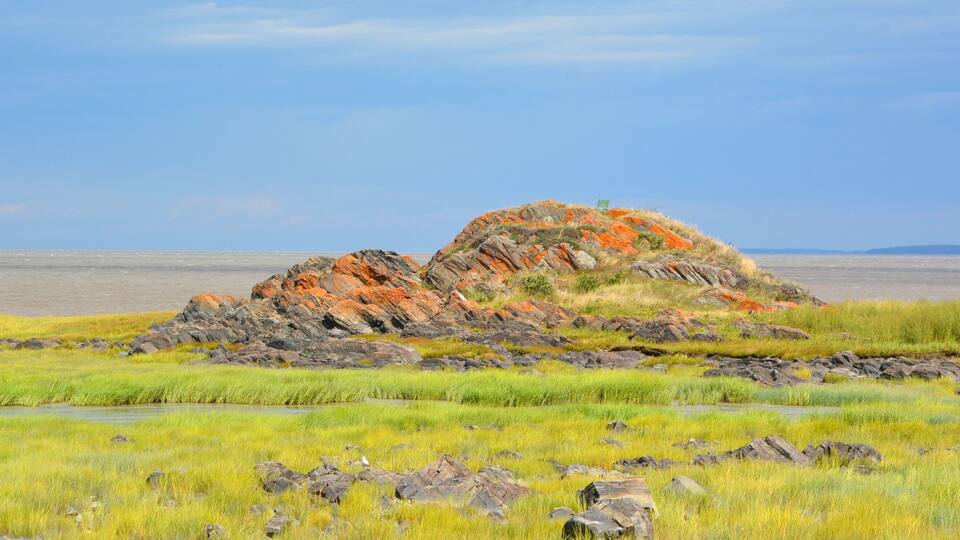 A rocky outcrop with orange lichen, surrounded by grassy fields and a calm sea.
