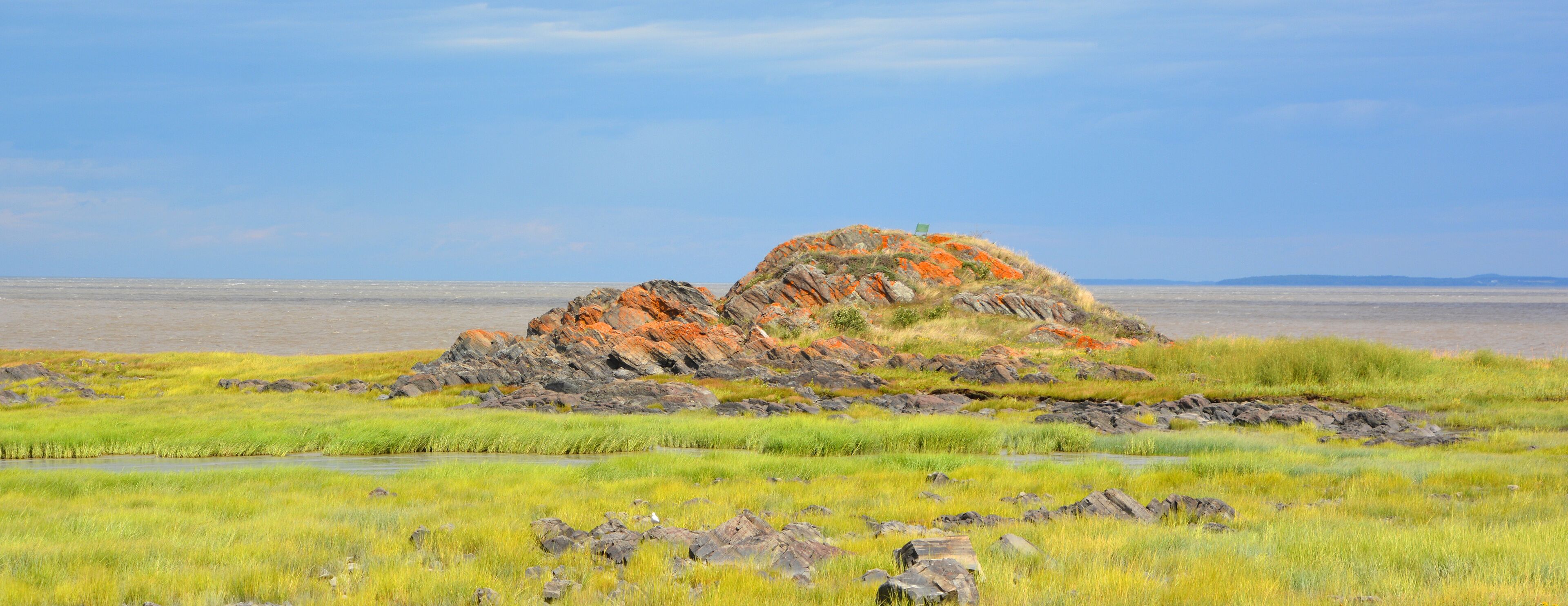 A rocky outcrop with orange lichen, surrounded by grassy fields and a calm sea.