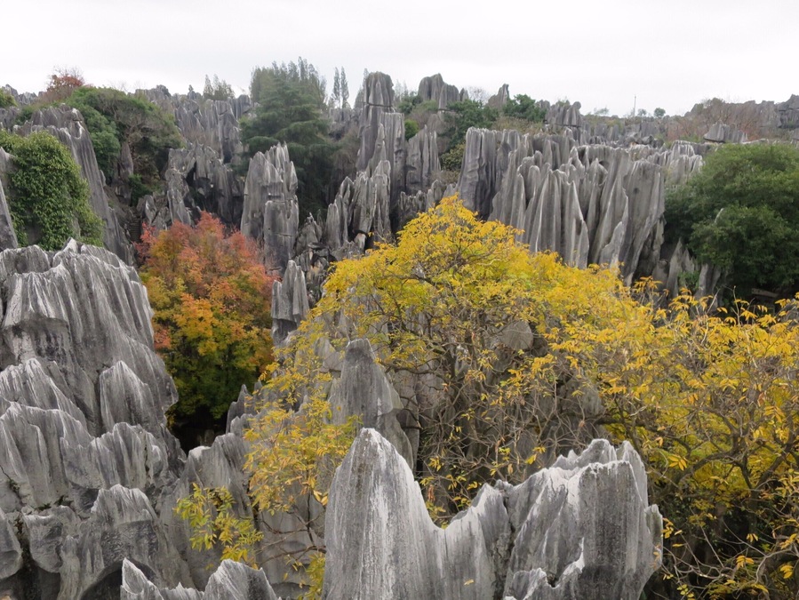 Discovering the Stone Forest near Kunming, Yunnan, in late December. Rocky forms everywhere!