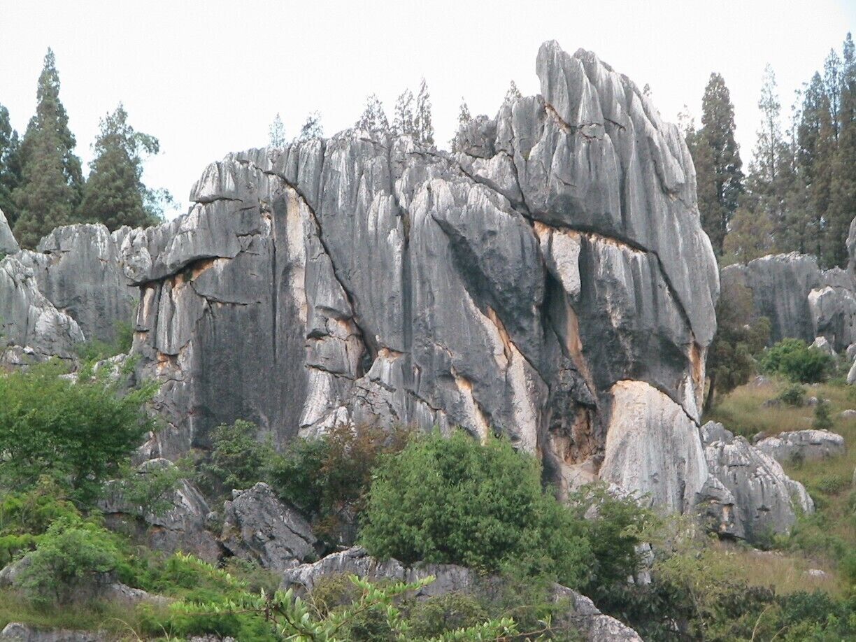 they said you should see an elephant
can you see the elephant?
